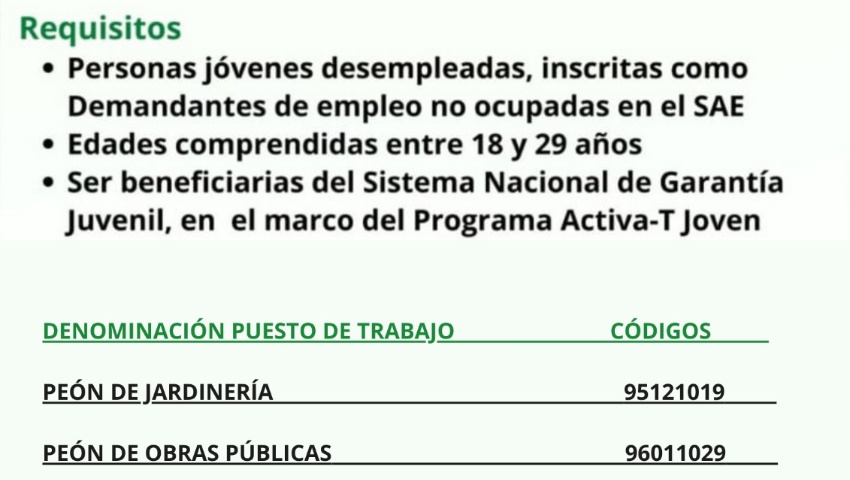 Programa Andalucia Activa